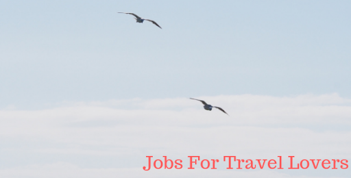Jobs For Travel Lovers